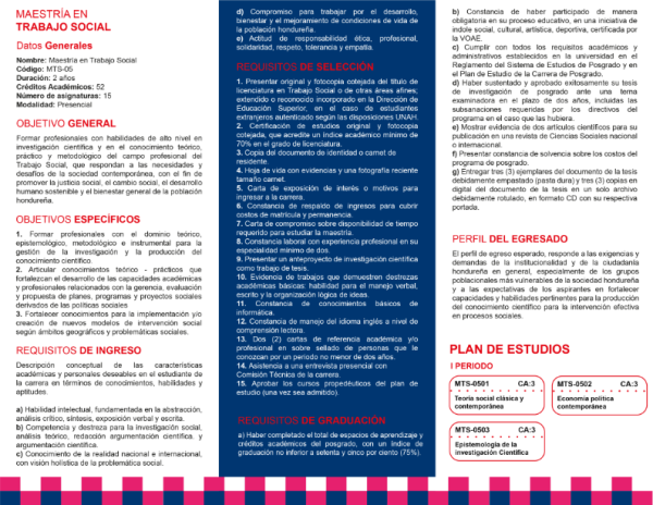 Trifolio Trabajo Social 3